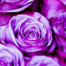 怎么ddos攻击游戏服务器